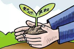 加强知识产权保护 助力景德镇国家陶瓷文化传承创新试验区发展